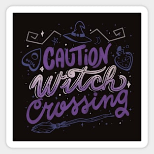 Caution Witch Crossing by Tobe Fonseca Magnet
